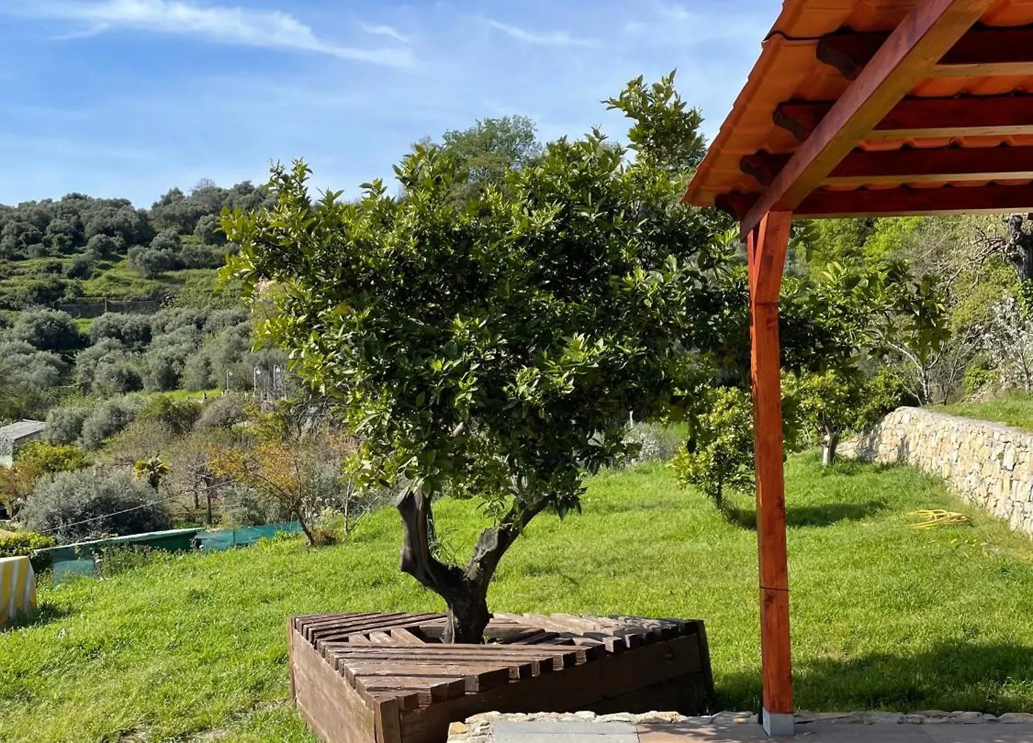 La Casa Dell'Ulivo Βίλα Imperia