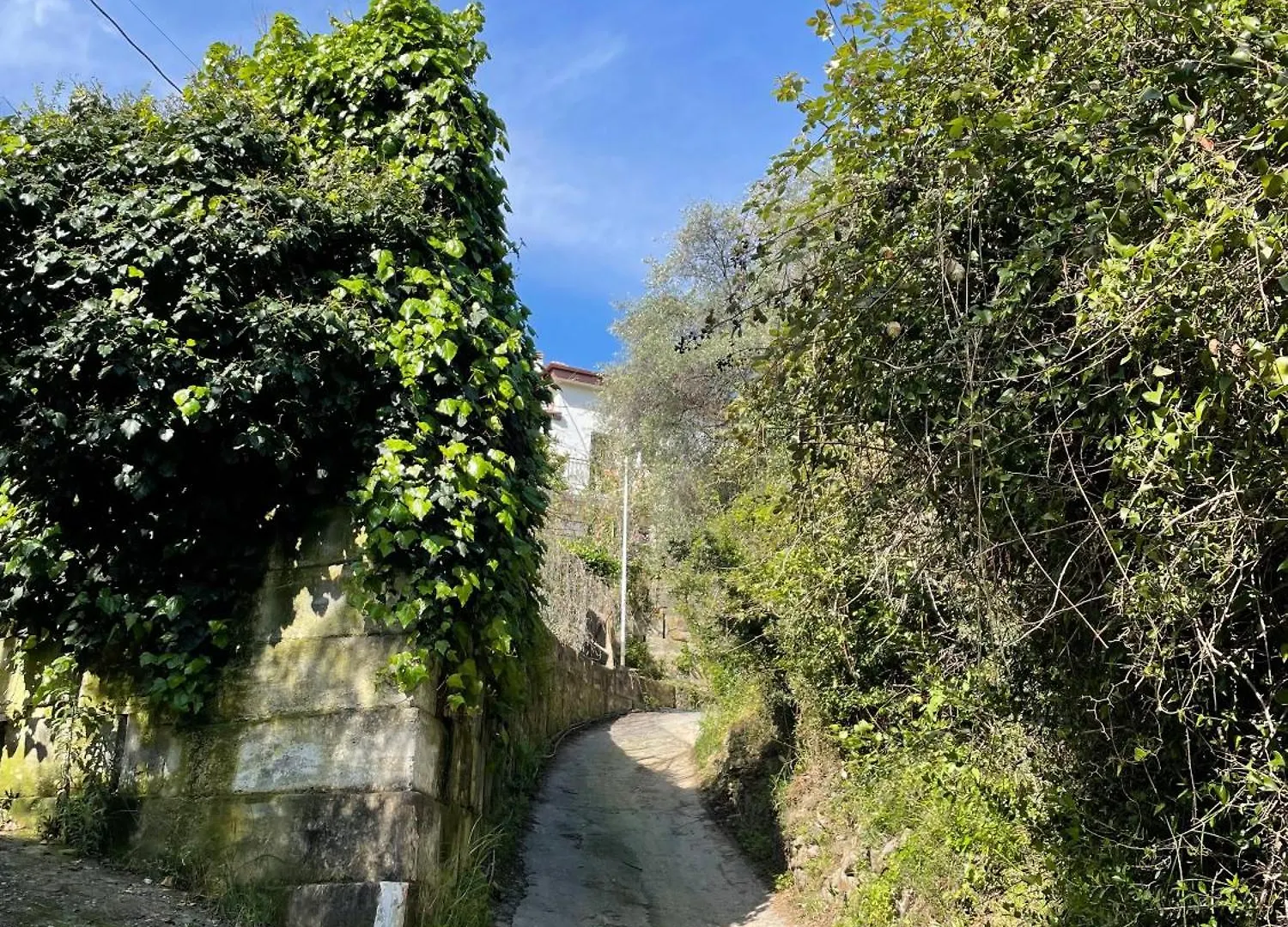La Casa Dell'Ulivo Βίλα Imperia Ιταλία